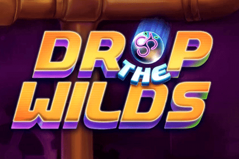 logo drop the wilds spinberry